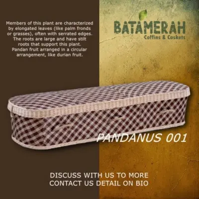 Pandanus 001